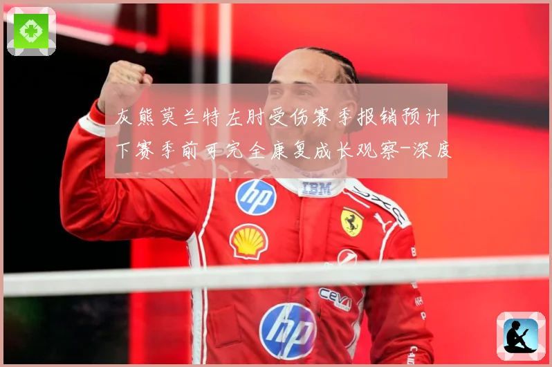 灰熊莫兰特左肘受伤赛季报销预计下赛季前可完全康复成长观察-深度解析