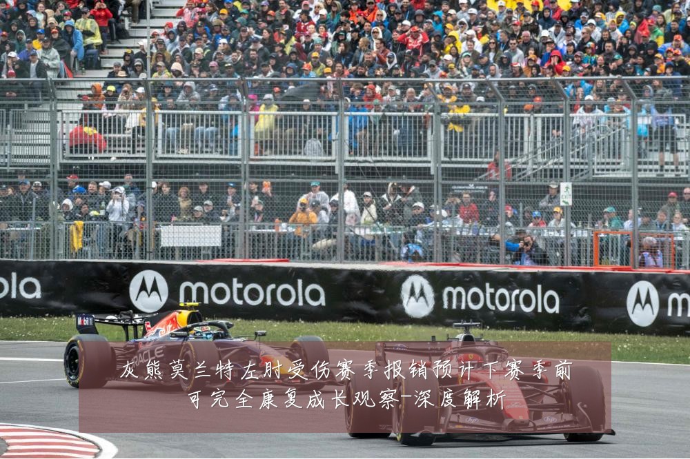 灰熊莫兰特左肘受伤赛季报销预计下赛季前可完全康复成长观察-深度解析
